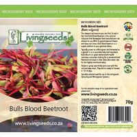 Living Seeds Bull’s Blood Beetroot Microgreen Seeds